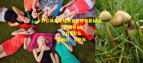 эйфоретик Алексин