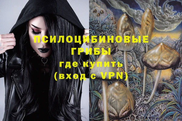 ГАЛЛЮЦИНОГЕННЫЕ ГРИБЫ Осинники