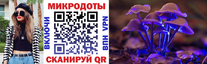 Псилоцибиновые грибы Psilocybine cubensis  Муром 
