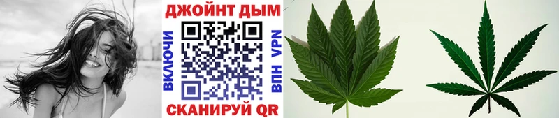 Бошки Шишки планчик Муром
